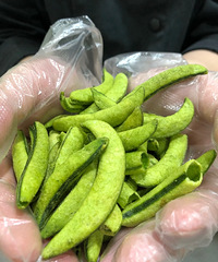 ɽķ㶹ĺúó԰Ϳ˵ܱ