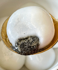 ��Ҫ����ȫ���磡ɽķ�����Բ��ľ޺ó�