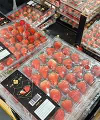 ����Զ��������ɽķ�Ĳ�ݮ���ڸ��Ѿ��ܺ��ˣ��ִ�����