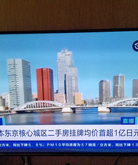 �ձ���������14�������ǣ�ԭ�������Ǻ�Ͷ��������������