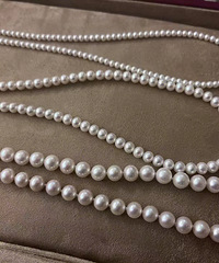 今年的收入都花在这里了! 真是掉进了珍珠坑