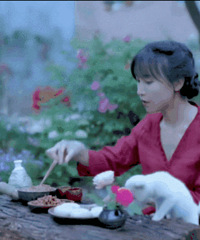 李子柒,消失的500天