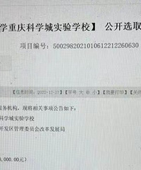 北京师范大学重庆实验学校启动工程咨询招标