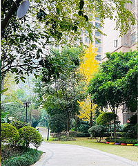 ɹ������Դ����С���ﶬ�������������̫����