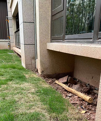 �п������ƭZһ¥û����ˮ��