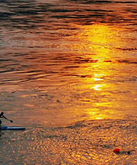 92��162CM�����ڵ�С������飬ϣ���Է�����172����