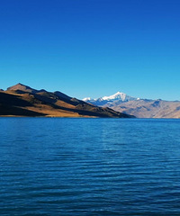 92��162CM�����ڵ�С������飬ϣ���Է�����172����