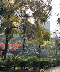 С���Ķ������