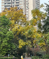 С���Ķ������