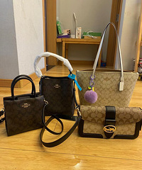 我实在是太爱蔻驰了! 才一个多月就剁手4个包包,实用又耐操