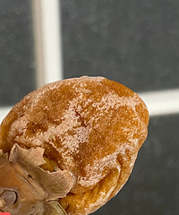 ��������û�Ե�����������������