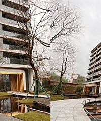 ���빫԰������������Ҽ�ż������������ÿ���