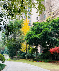 ������Դ�����ﶬ����