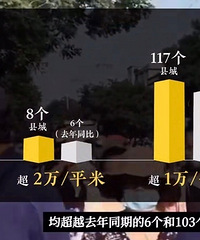 ȫ����94%�سǷ��۲�����Ԫ����Ȼ���۲��ߣ�����������Ͱ���