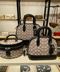 �����¹����ޢ�۶��һ��޶��ë����