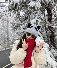 ȫ����ժ������������1.2�������ȥ��ѩ�����û�����