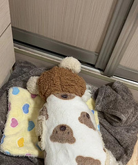 ����һȦ300�������ź��͍o����̨��ÿ��Դ��齫