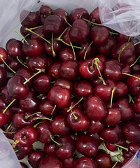 ���Գ������������������