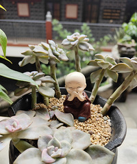 Ԥ���£�������Ϊ�������ʽ���ή��3%��ͷ