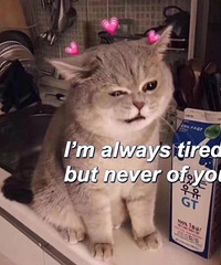 ������ֵ���򡿵��Ӿƾ�ʪ��100Ƭ18������·��ʿ����39