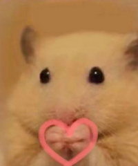 һһpddõĵ̣Եġġġõʲô