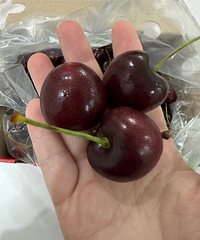 սȫ˳ӣ3J5ֻҪ120.2Ԫ