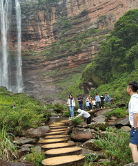 88175CMĹͨά飬ĸӪְ