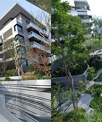 �ֳ�ֱ��´�ý��ǿ����գ������׸�����¥�̱���