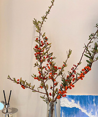 11��Ǯ�������ˮ����������ĳ������������գ�