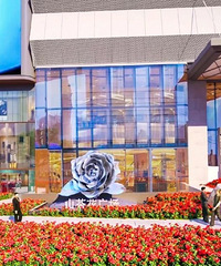 �Ա����缶!��ű�ɽ�軨�㳡��ʽ����!