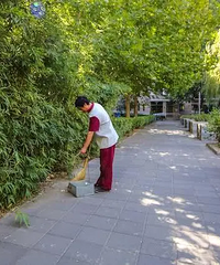 因为老人是否做清洁工作,被说强势
