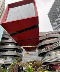 �޶����ڶ�Сѧ���꼶�����ǵ�����ѡ��֮·����