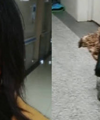 父亲生前将存款全给儿子,女儿照顾一年