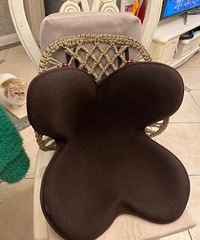 �ձ��Ǹ���������������