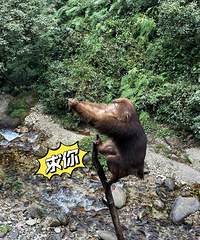 ȥüˣѩǽ𶥣ϸܿӹ