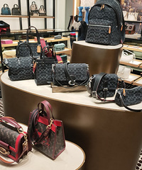 �����¹����Coach�´��������ȫ�Ƕ��һŶ