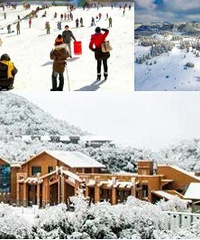 重庆酒店推荐,耍雪亲子游过年不用愁
