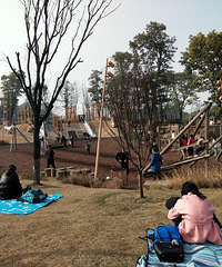 84172CM̲ȾƵĸ飬ϣԷС