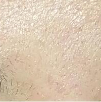 ������üë���Լ�������ֱ����ü��