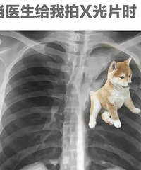 ���������ױ�ըô��˳���������Ƽ�