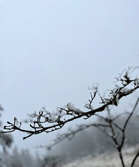 ���괺�ڼ��ڣ�����ǻؼ����㸸ĸֶ��ֶŮ������ô������