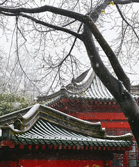 ��ѩ�׷��꣬�ϴ����ǳ��ֽ�ѩ��16��1�£�����������鿪��