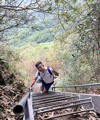 85168CM½ҵĸ飬ϣԷר