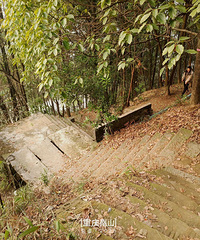 ̤࣬ҪƱĹ԰ɽѰҰȤ