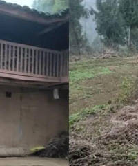 �ɷ���ϼ��г��б�����Ů������Ϊ�棬���������ǰһĻֱ���ϵ�