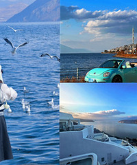 ������ȥ�����������޹�������