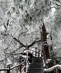 ���������Σ�ȥ����ɽͽ����ѩ������·�߹���