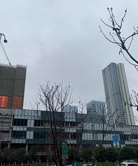 ���¹㳡��ҵ��Ƚ�ҰӾ�����������ʶ��ֻ�����һ������