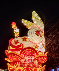 全国的兔子灯,还得看自贡