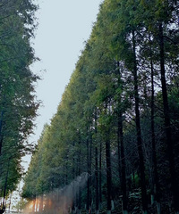 93��160CM���������飬ϣ���Է�������170����